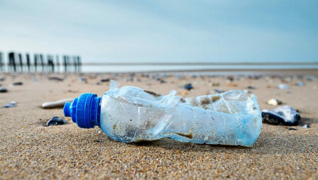 Ein Problem auf der ganzen Welt: Plastikmüll in der Natur (Bild: ©Image'in - stock.adobe.com)