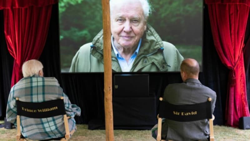 Im Garten des Kensington-Palastes wurde ein kleines Kino aufgebaut. (Bild: AP)