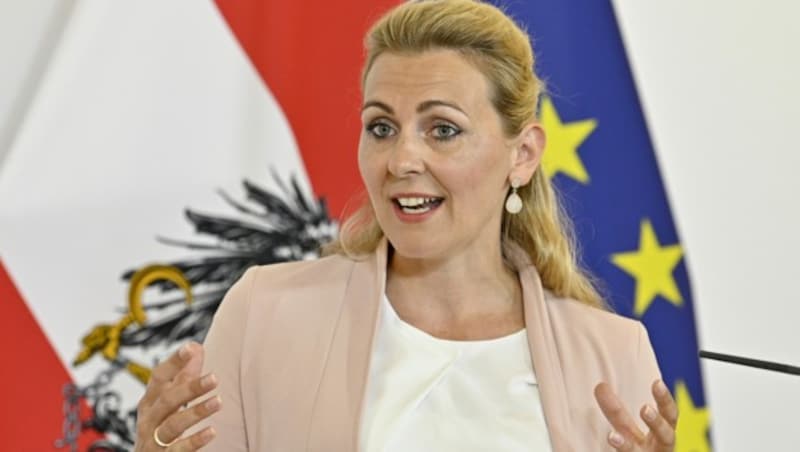 Arbeitsministerin Christine Aschbacher (ÖVP) (Bild: APA/HANS PUNZ)