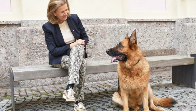 LR Patrizia Zoller-Frischauf mit Hündin „Flori“: „Verantwortung für Tier und Gesellschaft.“ (Bild: Land Tirol/Kathrein)