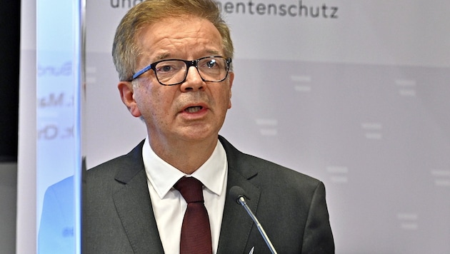 Gesundheitsminister Rudolf Anschober (Bild: APA/Hans Punz)