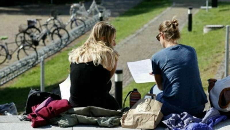 An der Naturwissenschaftlichen Fakultät nutzten am Donnerstag zahlreiche Studenten das schöne Wetter, um draußen zu lernen. (Bild: Markus Tschepp)