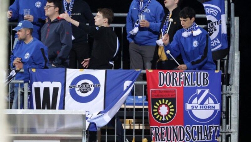 Horn-Fans (Bild: GEPA )