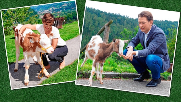 Kanzler Sebastian Kurz (ÖVP) und SPÖ-Chefin Pamela Rendi-Wagner als Tierfreunde. (Bild: Gabriele Moser, Kurt Prinz, Krone KREATIV)
