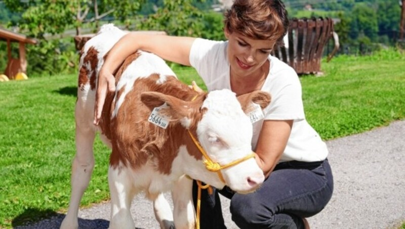 SPÖ-Chefin Pamela Rendi-Wagner: „Wir müssen unsere Bauern vor Zigtausenden Tonnen Fleisch aus Rinderfabriken schützen.“ (Bild: Kurt Prinz)