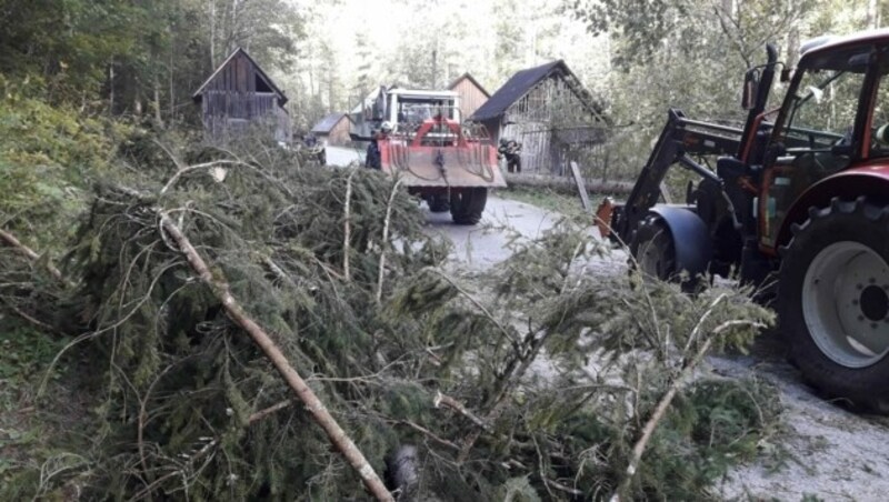 Sturmschäden in Bad Mitterndorf (Bild: FF Bad Mitterndorf)