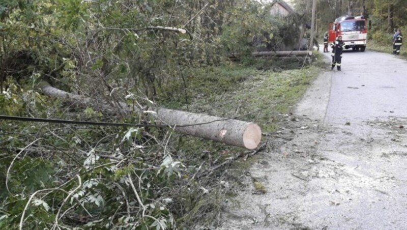 Sturmschäden in Bad Mitterndorf (Bild: FF Bad Mitterndorf)