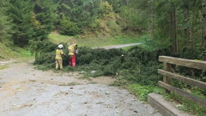 Sturmschäden in Schladming (Bild: Feuerwehr/Bergrettung Schladming)