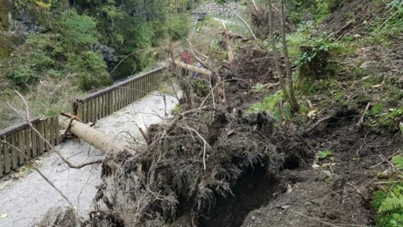 Sturmschäden in Schladming (Bild: Feuerwehr/Bergrettung Schladming)