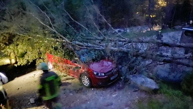 Ginzling: Ein Baum traf zielgenau einen Pkw, der dabei erheblich demoliert wurde. (Bild: ZOOM.TIROL)