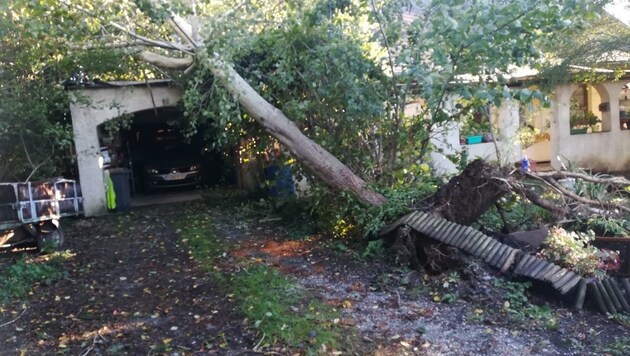 In Neusiedl bei Güssing stürzte ein Baum auf eine Garage. (Bild: Schulter Christian)