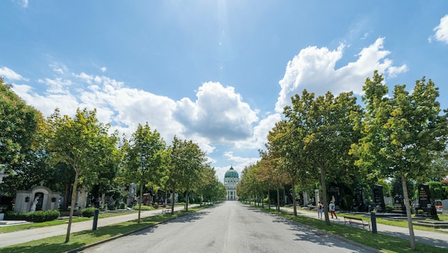 Die Ehrengräber auf dem Zentralfriedhof lassen sich auch viele Wiener zeigen. (Bild: ORF)