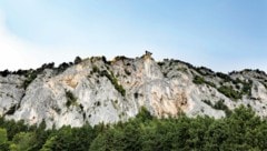 Im Bild: Naturpark Hohe Wand (Niederösterreich) (Bild: ORF)