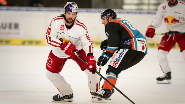 Auch Defender Alex Pallestrang (li.) traf in Linz. (Bild: GEPA pictures/ Manfred Binder)