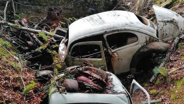 Oldtimer ruhen seit Jahrzehnten in Rubland bei Paternion. (Bild: Gerhard Heinzl)