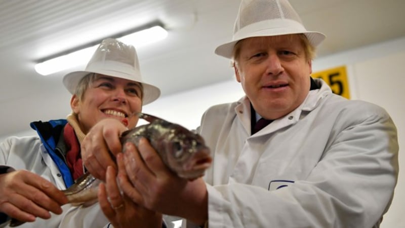 Premier Boris Johnson wird womöglich nicht ganz zufrieden stellende Fischfangquoten verteilen. (Bild: APA/AFP/POOL/Ben STANSALL)