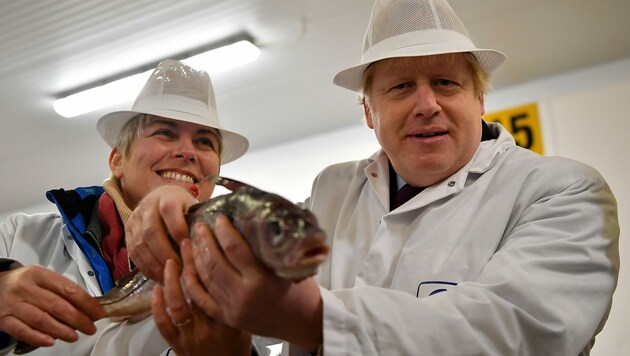 Premier Boris Johnson wird womöglich nicht ganz zufrieden stellende Fischfangquoten verteilen. (Bild: APA/AFP/POOL/Ben STANSALL)