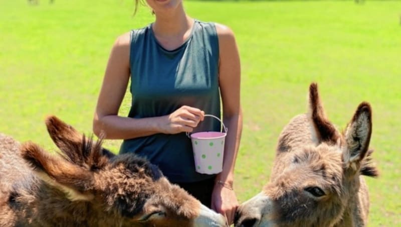 Ein Besuch im Eselpark ist Pflicht: Hier trifft man neben den herzigen Eseln auch Lamas, Alpakas, Schafe, Kamele, Ponys und mehr. (Bild: Elisa Aschbacher)