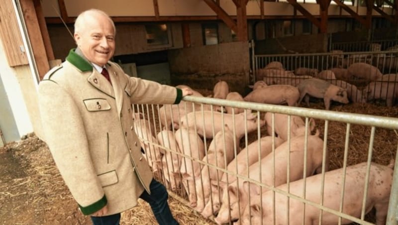 Agrarlandesrat Johann Seitinger: „Schweine brauchen Luft, Licht und Auslauf.“ (Bild: Sepp Pail)