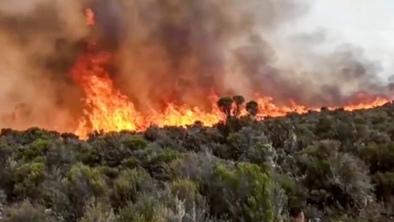 Kürzlich tobte am Kilimandscharo eine Feuersbrunst. (Bild: AP)