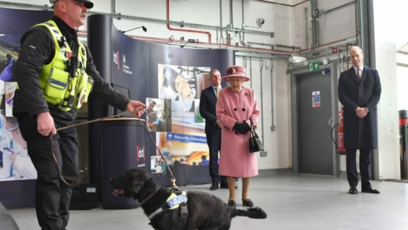 Queen Elizabeth war von dem Polizeihund besonders angetan. Da strahlte auch Prinz William. (Bild: AFP)