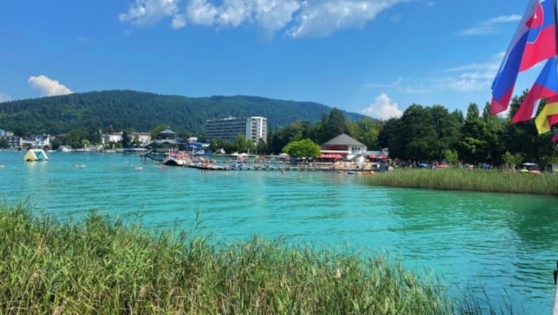 Kristallklares Wasser lädt zum Sprung in den Wörthersee ein - ein perfekter Ort dafür, das Strandbad in Pörtschach. (Bild: zVg)