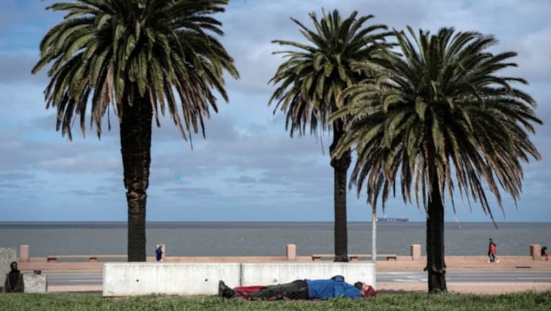 Ein obdachloser Mann schläft in der Wiese vor dem Strand von Montevideo. (Bild: AFP)