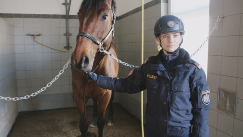 Polizeipferd und Reiterin nach dem Training in der Waschanlage (Bild: ATV)