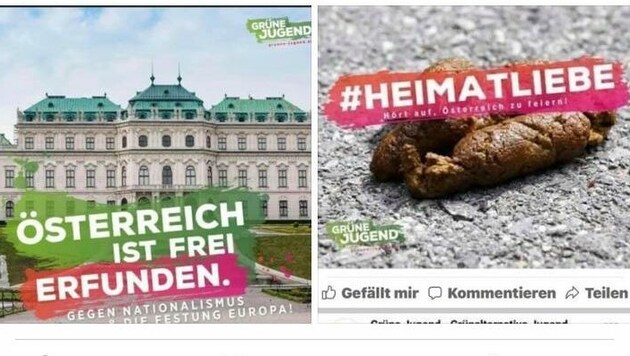 Posting der Jungen Grünen: "Hört auf, Österreich zu feiern!" (Bild: zvg)