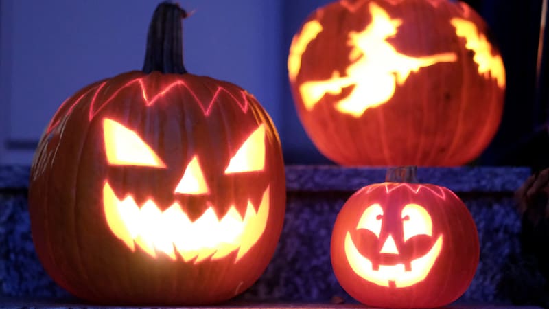 An essential part of Halloween: Pumpkins! (Bild: APA/dpa/Bernd Weissbrod)