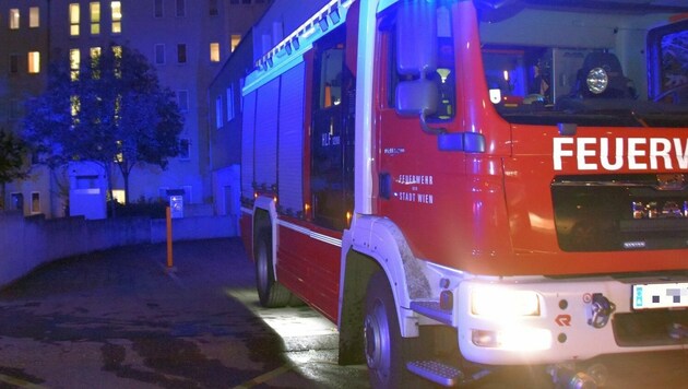 (Bild: LICHTBILDSTELLE MA 68, Feuerwehr Wien)
