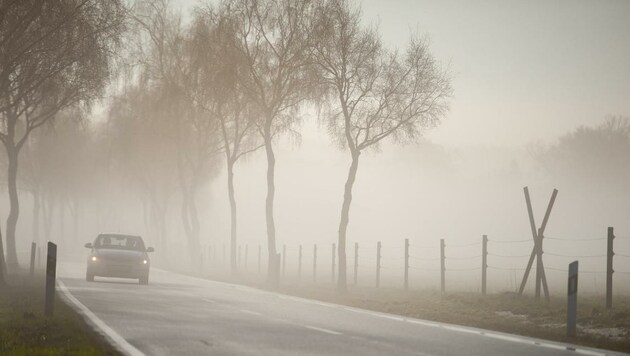 Bei Nebel muss die Geschwindigkeit angepasst werden. (Bild: Philipp Schulze)