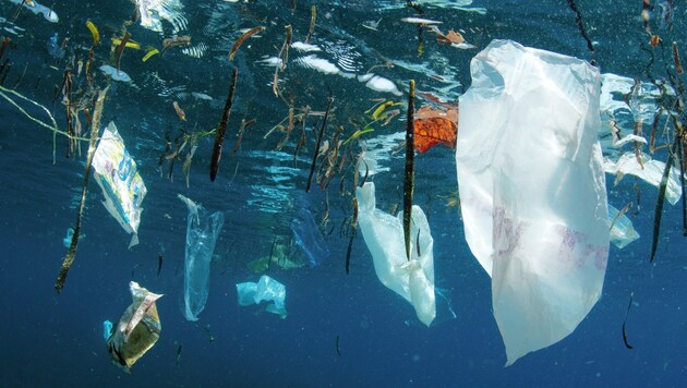 Laut einer alarmierenden Studie landet Österreichs Plastikmüll oft direkt im Meer. (Bild: Shutterstock / Shane Gross / WWF)