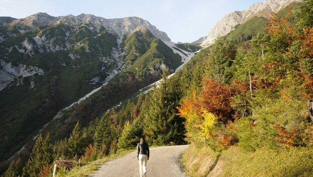 Farbenprächtiger Herbst (Bild: Peter Freiberger)