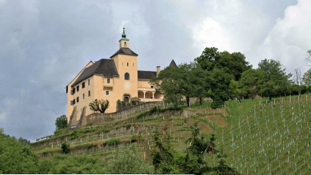Schloss Thürn im Lavanttal. Das prachtvolle Anwesen mit umliegenden Weingärten wurde von Heidi Goëss-Horten erworben. (Bild: Gornik Immobilen)