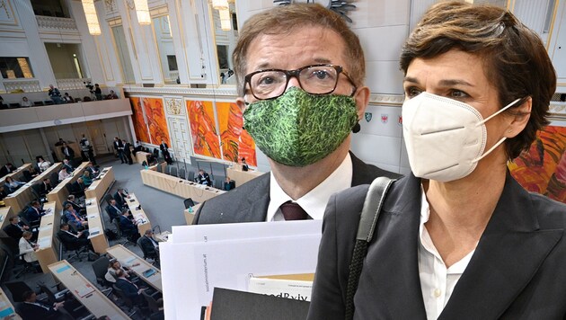 Pamela Rendi-Wagner stimmte mit ihrer SPÖ den neuen Corona-Maßnahmen zu, Gesundheitsminister Rudolf Anschober (Grüne) zeigte sich darüber sehr erleichtert. (Bild: APA,Krone KREATIV)