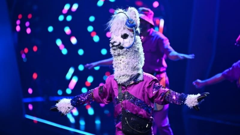 Als aufgedrehtes Alpaka hüpfte Sylvie Meis durch „The Masked Singer“. (Bild: ProSieben/Willi Weber)