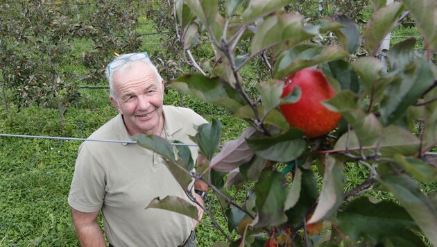 Ups, da hängt ja noch einer. Thomas Giner zwischen seinen Apfelbäumen. (Bild: Birbaumer Christof)