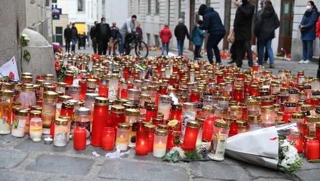 Vier Menschen starben, 23 wurden beim Terror-Attentat in der Wiener Innenstadt teils schwer verletzt. (Bild: P. Huber)