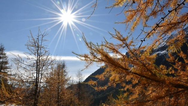 Wunderschöne Kärntner Herbststimmung am Bild von „Krone“-Leserin Herta Unterscheider. (Bild: Herta Unterscheider)
