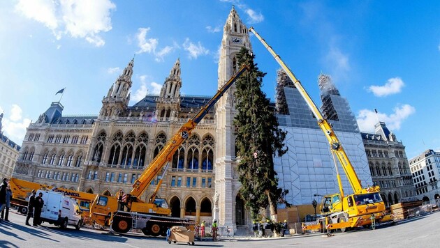 Szene vom Aufstellen des 33 Meter hohen Mühlviertler Weihnachtsbaums vorm Wiener Rathaus (Bild: SEPA.Media KG | Michael Indra | www.sepa.media)