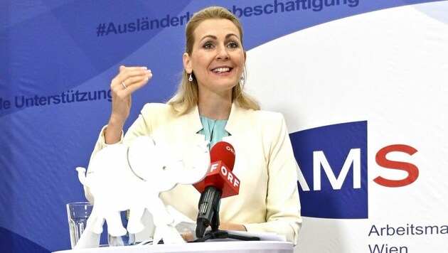 Arbeitsministerin Christine Aschbacher (Bild: APA/Herbert Neubauer)