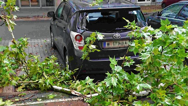 Sturm im September: Mehrere Äste eines hohen Baumes beschädigten den Pkw eines Lesers. (Bild: zVg, Krone KREATIV)