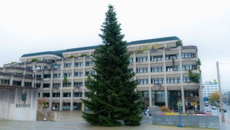 Das Neue Rathaus in Linz (Bild: Horst Einöder/Flashpictures)