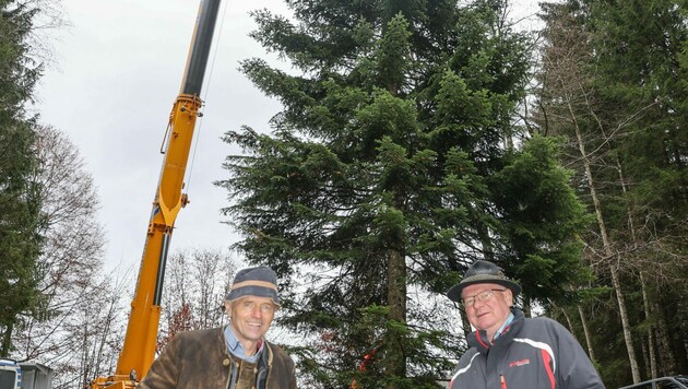 Christkindlmarkt Obmann Wolfgang Haider (l.) und der Hinterseeer Bürgermeister Paul Weißenbacher freuen sich, dass der Christbaum für den Residenzplatz in diesem Jahr aus Hintersee kommt. (Bild: www.neumayr.cc)