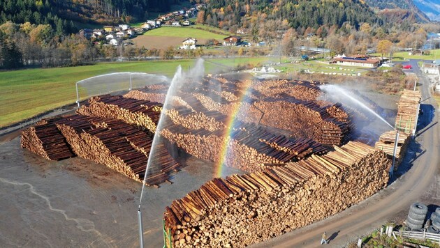 Die Beregnung der Holzstämme folgt einem klaren System. (Bild: Land Tirol)