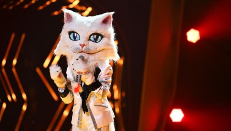 Die Katze sorgte bei „The Masked Singer“ für viele Gänsehaut-Momente. (Bild: ProSieben/Willi Weber)