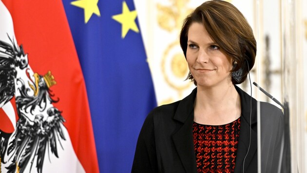 Europaministerin Karoline Edtstadler (Bild: APA/Herbert Neubauer)