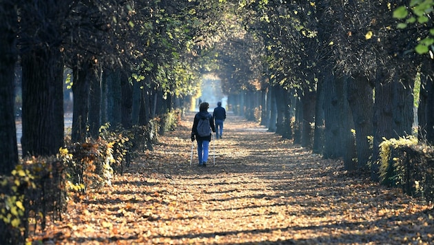 Sunday will remain mostly sunny. It will also be mild at the start of the week - but then another cold front will move into the country. (Bild: APA/Helmut Fohringer)