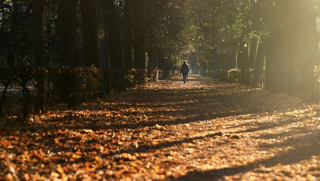 (Bild: APA/Helmut Fohringer)